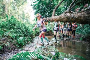 BIB: 
                            <button type="button" onclick="openModal(25477641)" class="btn btn-primary btn-sm float-right btn-popup" data-toggle="modal" data-target=".modal-high-quality">
                        <i class="fas fa-shopping-cart"></i> Add to Cart
                    </button>
                                            <button type="button" onclick="isThisMe(25477641, true)" class="btn btn-success btn-sm float-right btn-popup btn-isme hidden" data-toggle="tooltip" data-placement="bottom" title="นี่คือรูปของคุณใช่ไหม คลิกที่นี่เพื่อเอาเข้าอัลบั้ม">
                        <i class="fas fa-plus"></i> Add to album
                    </button>
                    <button type="button" onclick="isThisMe(25477641, false)" class="btn btn-warning btn-sm float-right btn-popup btn-isnotme hidden">
                        <i class="fas fa-ban"></i> Remove from album
                    </button>